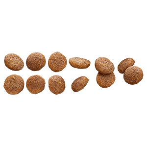 Euro Premium Large Puppy – Dry Dog Food